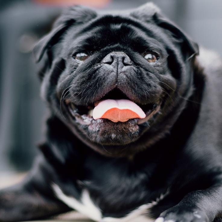 Business professional backdrop